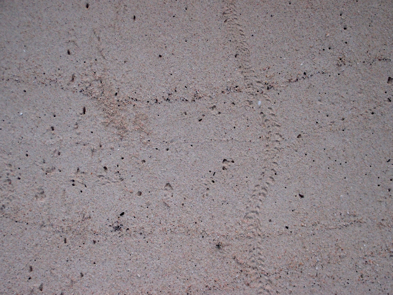 2015-10-03 04 Sand Komposition 2 (Komposition + Foto)